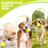 Thrower Launcher for Dogs with 3Tennis Ball Interacive Dog Toys Fun Indoor Outdoor Adjustable Distance