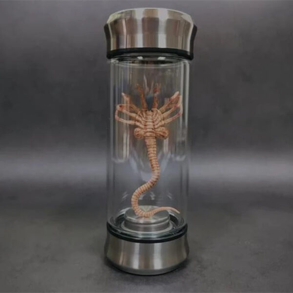 e2f36b3a578425b3 Alien Glow Jar Xenomorph Specimen Facehugger Embryo Glass Jar Movie Prop Replica Home Decor Desktop Crafts Sculpture Decoration