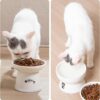 e33b68d5582a994c FOREYY Raised Cat Food and Water Bowl Set, Whisker Friendly Elevated Ceramic Cats Feeder Bowls with Anti Slip Ring, Anti-Vomiting Shallow High Porcelain Pet Kitten Dish, Dishwasher Safe(White)