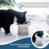 e3732beb2546014e TAMAYKIM Tilted Ceramic Raised Cat Bowls, 8 OZ Food and Water Bowls Set for Kitty, Porcelain Elevated Stress Free Feeding Pet Dish, Dishwasher and Microwave Safe, 2 Pack (White & Grey)
