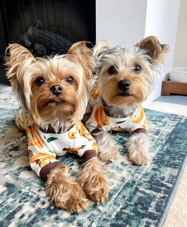 e379f52268a78084 Banana Dog Pajamas, Warm Dog Onesie, Dog Clothes for Small Dogs Girl Boy, Lightweight Velvet Pet Jumpsuit, Cat Outfit, Beige, Yellow, Medium
