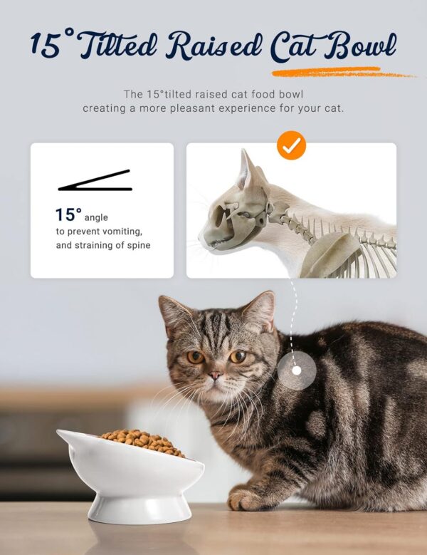 e3d420005bd92eb1 AISBUGUR Ceramic Cat Bowls Set of 2, Elevated 15 Tilted Design for Indoor Cats, Large Capacity, Easy to Clean, Non-Slip Base, Cute Pattern, Blue
