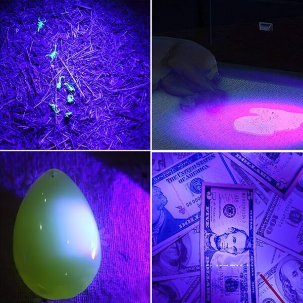 e4ddcef7d54f467f UV LED Flashlight Portable Blacklight 395nm Wavelength Violet Light Pet Urine Scorpion Feminine Hygiene Detector Torch