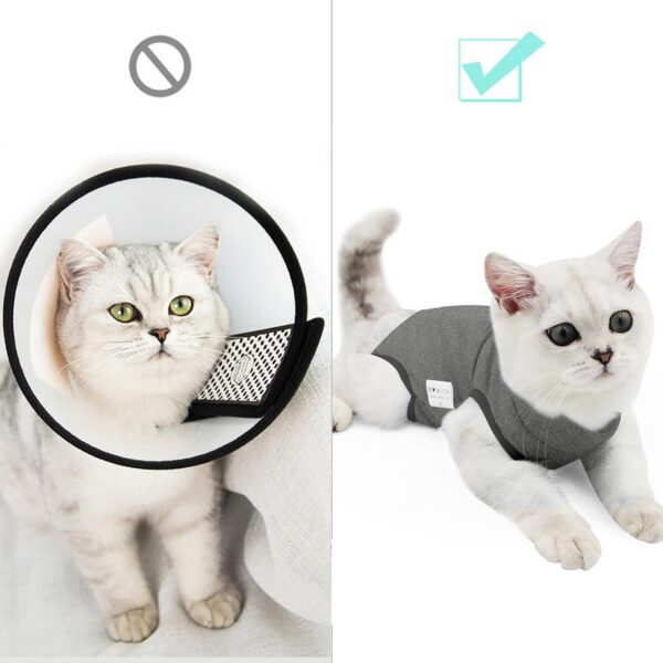 e5185a003bcafe7a Cat Recovery Suit for Male and Female Surgical Post Surgery Soft Cone Onesie Shirt Clothes Neuter Licking Protective Diapers Outfit Cover Kitten Spay Collar(M, Grey)