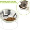 e61297c9c663936f Yangbaga Raised Cat Food & Water Bowl, 4.96 in High Cat Food Bowl for Indoor Cats, Reduce Neck Burden & Easy to Clean
