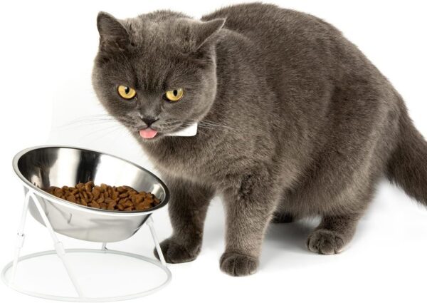 e6309c6ffadcff69 Yangbaga Raised Cat Food & Water Bowl, 4.96 in High Cat Food Bowl for Indoor Cats, Reduce Neck Burden & Easy to Clean