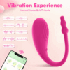 10 Speed APP Controlled Vaginal Vibrators G Spot Anal Vibrating Egg Massager Wearable Stimulator Adult Sex Toys for Women Couple