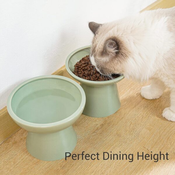 e67ef088c9599bf2 2 Extra Wide Raised Cat Food Bowl, Elevated Anti-Vomiting Cat Feeder Whisker Stress-Free Dog Two Bowls Ceramic Cat Feeding Bowls White