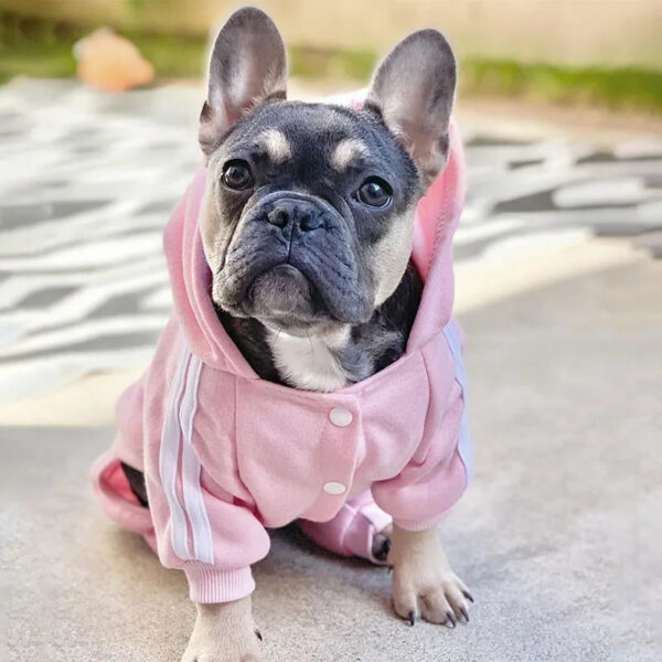 e6841c49ba7985a5 Adidog Jumpsuit Warm Puppy Pet Clothes Hoodies Sweatshirt Yorkie French Bulldog Clothing For Dog Coat Jacket