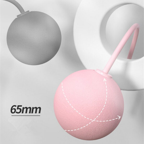 Cordless Jump With Heavy Balls Sports Fiess Training Bodybuilding Exercise Rapid Speed Skipping Rope Home Gym Equipment