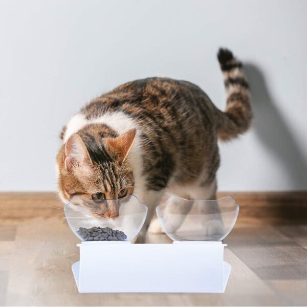 e718c22b7c95a120 Cat Food Bowls Elevated Cat Bowls Tilted 15° Plastic Cat Dishes Double Raised Cat Bowl with Non-Slip Rubber Base Stand for Cats (Black)