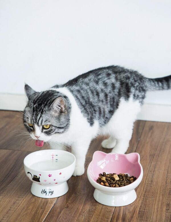 e733242e2288966b AISBUGUR Ceramic Cat Bowls Set of 2, Elevated 15 Tilted Design for Indoor Cats, Large Capacity, Easy to Clean, Non-Slip Base, Cute Pattern, Blue