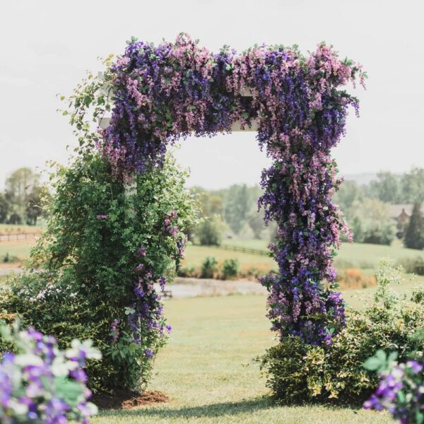 e7567895ca6dda10 CEWOR 24pcs Wisteria Hanging Flowers 3.6ft Artificial Vines Fake Garland Silk Flower String for Wedding Party Garden Outdoor Greenery Home Wall Decoration (Purple)