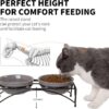 e75c0b75c21c5802 FOREYY Elevated Cat Bowls with 2 Ceramic Bowls and 2 Stainless Steel Bowls,Raised Cat Food Water Bowl with Iron Stand,Porcelain Pet Dishes for Cats and Small Dogs,16 Ounces,Dishwasher Safe(Gray)