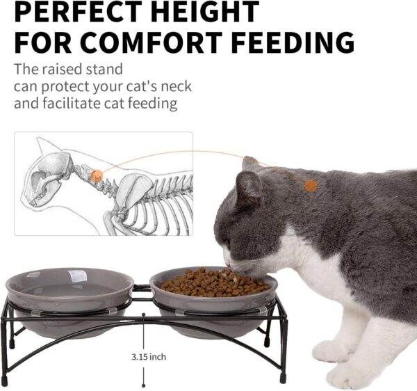 e75c0b75c21c5802 FOREYY Elevated Cat Bowls with 2 Ceramic Bowls and 2 Stainless Steel Bowls,Raised Cat Food Water Bowl with Iron Stand,Porcelain Pet Dishes for Cats and Small Dogs,16 Ounces,Dishwasher Safe(Gray)