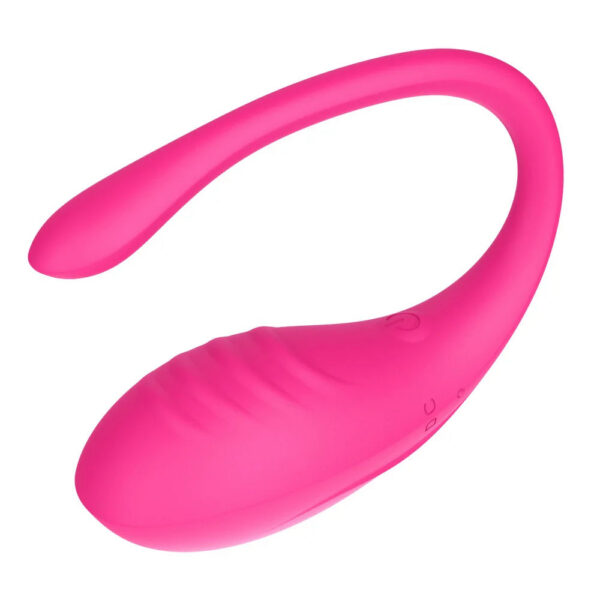 e7ae61f6039e63a0 9 Modes App Control Silicone Vibrating Egg Clit Massage G Spot Vibrator Sex Toys For Women Masturbation Rechargeable