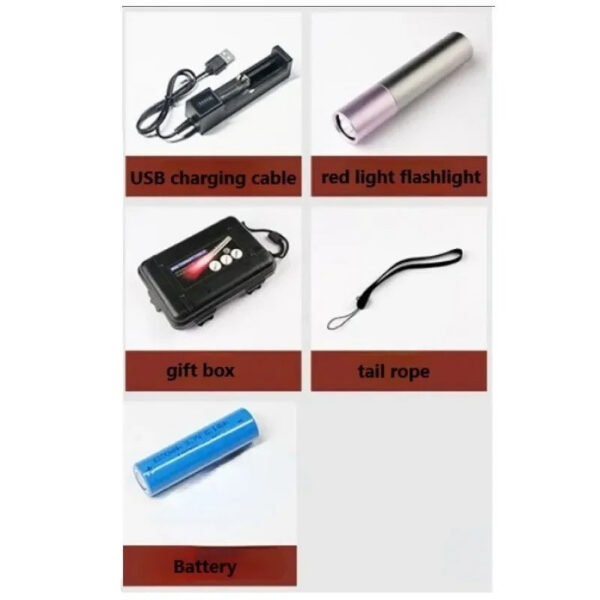 Portable Red Light Flashlight Relief Muscle Pain Infrared Lamp Led Therapy Skin Care Pet-friendly