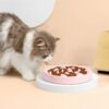 Slow Feeder Bowl for Cats and Small Dogs,Cilkus Fish Pool Design, Fun Interactive Bloat Stop Puzzle Feeder Bowl Healthy Eating Diet Made of Melamine Food Grade Material Dishwasher Safe (Green)