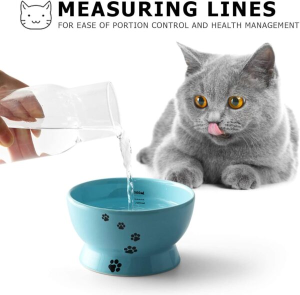 Y YHY Raised Cat Food Bowl Set, Ceramic, Tilted Elevated Bowls, 2 Bowls, 3.6 in & 3 in, White