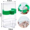 e88cd75edab7dd38 2 Pcs Automatic Bird Water Dispenser, Parrot Bird Water Feeder, Bottles Bird Drinker Seed Food Container, Parakeet Cage Accessories for Parakeet Budgies Cockatiel Lovebird Small Birds Canary Finch
