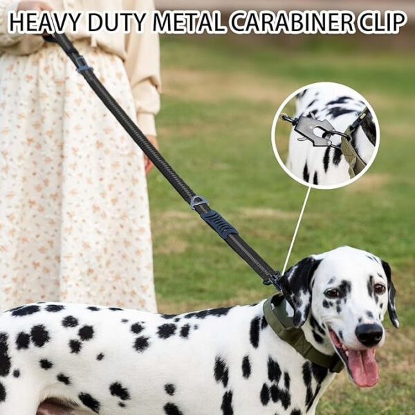 Reflective Shock Absorbing Pet Leashes with Car Seatbelt for Large Dogs Heavy Duty Tactical Bungee No Pull Dog Leash