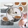 ea1ec1cf36935ae2 Cat Bowls, Elevated Cat Bowl, Raised Ceramic Cat Dish with Metal Stand, Pet Water or Food Feeding Station for Indoor Cats, Kitten, Puppies and Small Dogs(2 Pack)
