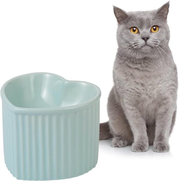 eaa239e60360b536 Cat Food Water Bowl Set - Raised Ceramic Cat Feeding Bowls with Non Slip Mat - Elevated Cat Dish Anti Vomiting - Whisker Friendly Wide Cat Bowl - Microwave and Dishwasher Safe - White & Pink (2pcs)