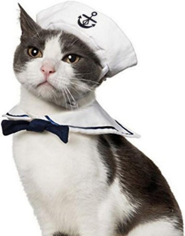 Namsan Holiday Pet Costume Cat Birthday Hat Small Dog Birthday Cake Hat Dog Birthday Party Supplies, Small