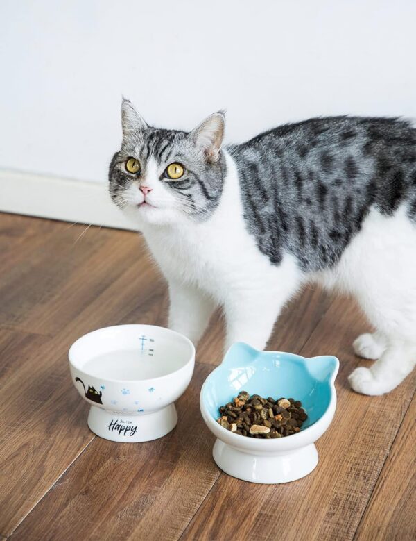 ec5732baedfe775f AISBUGUR Ceramic Cat Bowls Set of 2, Elevated 15 Tilted Design for Indoor Cats, Large Capacity, Easy to Clean, Non-Slip Base, Cute Pattern, Blue