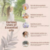ec73ca546d47f920 Pure Natural Therapeutic Grade Essential Oils Tea Tree Rose Jasmine Mint Vanilla Eucalyptus for Skin Care Massage Diffuser Oil