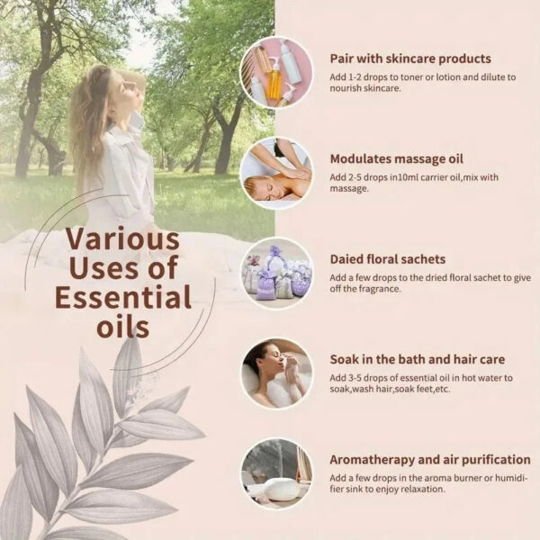 ec73ca546d47f920 Pure Natural Therapeutic Grade Essential Oils Tea Tree Rose Jasmine Mint Vanilla Eucalyptus for Skin Care Massage Diffuser Oil