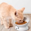 edd4eacdebf8da85 Y YHY Cat Bowl Anti Vomiting, Raised Cat Food Bowls, Tilted Elevated Cat Bowl, Ceramic Pet Food Bowl for Flat Faced Cats, Small Dogs, Protect Pet's Spine, Dishwasher Safe