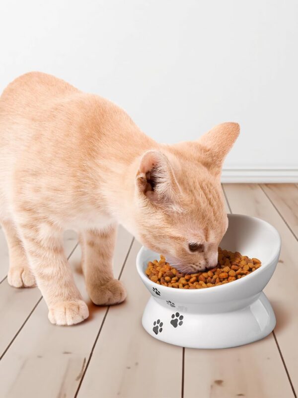 edd4eacdebf8da85 Y YHY Cat Bowl Anti Vomiting, Raised Cat Food Bowls, Tilted Elevated Cat Bowl, Ceramic Pet Food Bowl for Flat Faced Cats, Small Dogs, Protect Pet's Spine, Dishwasher Safe
