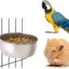 edd5f01901fe0bc1 Pet Feeder Water,10oz 20oz 30oz Bird Hamster Small Animal Cup with Holder,Stainless Steel 10oz Cage Coop Hook Cup for Small Animal Cage Bowl (10oz Stainless Steel Bowl)