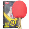 DHS 9 Star Table Tennis Racket Professional 5 Wood 2 ALC Offensive Ping Pong Racket with Hurricane Sticky Rubber