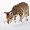 Slow Food Bowl for Cats,Fun Interactive Pet Feeding Bowl,Fish Design Feeding Tray Prevents Cats from Gulping,Indigestion and Obesity,Slow Feeder for Cats and Puppies,Dishwasher Safe.