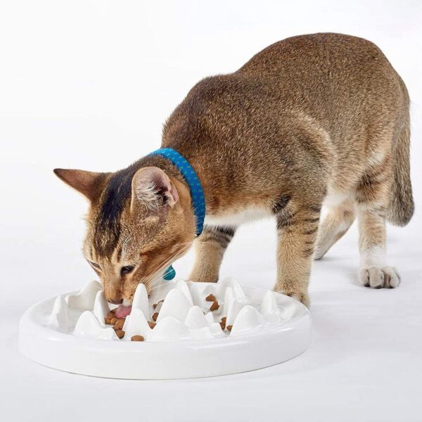 Slow Food Bowl for Cats,Fun Interactive Pet Feeding Bowl,Fish Design Feeding Tray Prevents Cats from Gulping,Indigestion and Obesity,Slow Feeder for Cats and Puppies,Dishwasher Safe.
