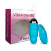 10 Speed Female Vibrator Wireless Remote Control Waterproof Silent Vibrating Egg USB Rechargeable Adult Toys