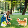Thrower Launcher for Dogs with 3Tennis Ball Interacive Dog Toys Fun Indoor Outdoor Adjustable Distance
