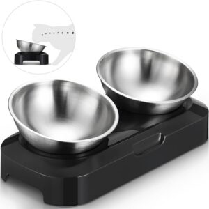 f1e0c23083b11160 Cat Bowls - Elevated Cat Food Bowls, Anti Vomiting Cat Bowl Set, Stainless Steel Cat Bowls,Cat Bowls for Food and Water, Raised Cat Bowls for Indoor Cats, Orthopedic Cat Bowl