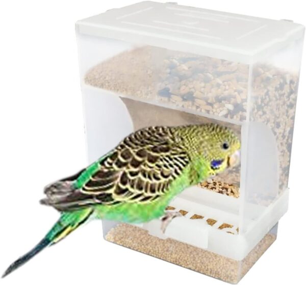 Parrot Automatic Feeder,No-Mess Bird Feeder,Cage Accessories for Budgerigar Canary Cockatiel Finch Parakeet Seed Food Container by Old Tjikko (Screw-Fixed Bird Feeder)