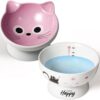 f2b6aaf3cceabc05 AISBUGUR Ceramic Cat Bowls Set of 2, Elevated 15 Tilted Design for Indoor Cats, Large Capacity, Easy to Clean, Non-Slip Base, Cute Pattern, Blue