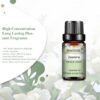 f2cfb011560a7771 PHATOIL 10ml Vanilla Eessential Oil for Aroma Candles Making Spa Massage Humidifier Sandalwood Black Pepper Ginger Tea Tree