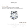 Modian Dazzling 925 Sterling Silver Clear CZ Heart Fashion Stud Earrings for Women Charm Wedding Statement Silver Fine Jewelry