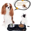 AsFrost Dog Food Bowls Stainless Steel Pet Bowls & Dog Water Bowls No Spill Non Skid, Feeding Bowls with Dog Bowls Silicone Mat for Small Medium Large Size Dogs, Cat Pet Dog Dishes Set, Black, 3 Cup