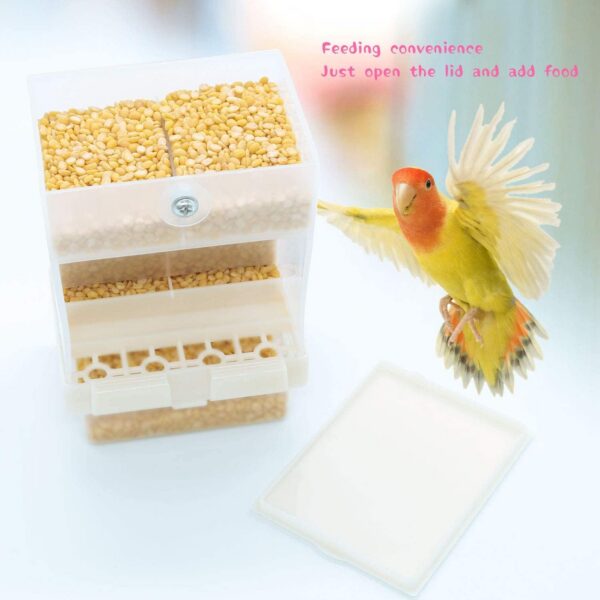 f59395ae127ab596 Rypet No-Mess Bird Feeder - Parrot Integrated Automatic Feeder for Small to Medium Birds