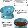 f6b8f4726fce454a Y YHY Cat Bowl Anti Vomiting, Raised Cat Food Bowls, Tilted Elevated Cat Bowl, Ceramic Pet Food Bowl for Flat Faced Cats, Small Dogs, Protect Pet's Spine, Dishwasher Safe
