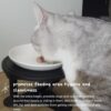 Adjustable Raised Cat Food Bowl, Tilted Elevated Bowl (1-Pack, Black)