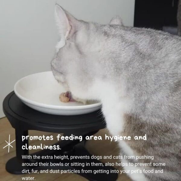 Adjustable Raised Cat Food Bowl, Tilted Elevated Bowl (1-Pack, Black)