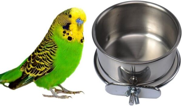 Pet Bird Food Feeding and Drinking Hanging Cup Clamp Holder Stainless Steel Hanging Bowl for Parrot Macaw African Greys Budgies Parakeet Cockatiels Conure Lovebirds Finch Pigeon Cage